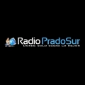 Radio Prado Sur - ONLINE